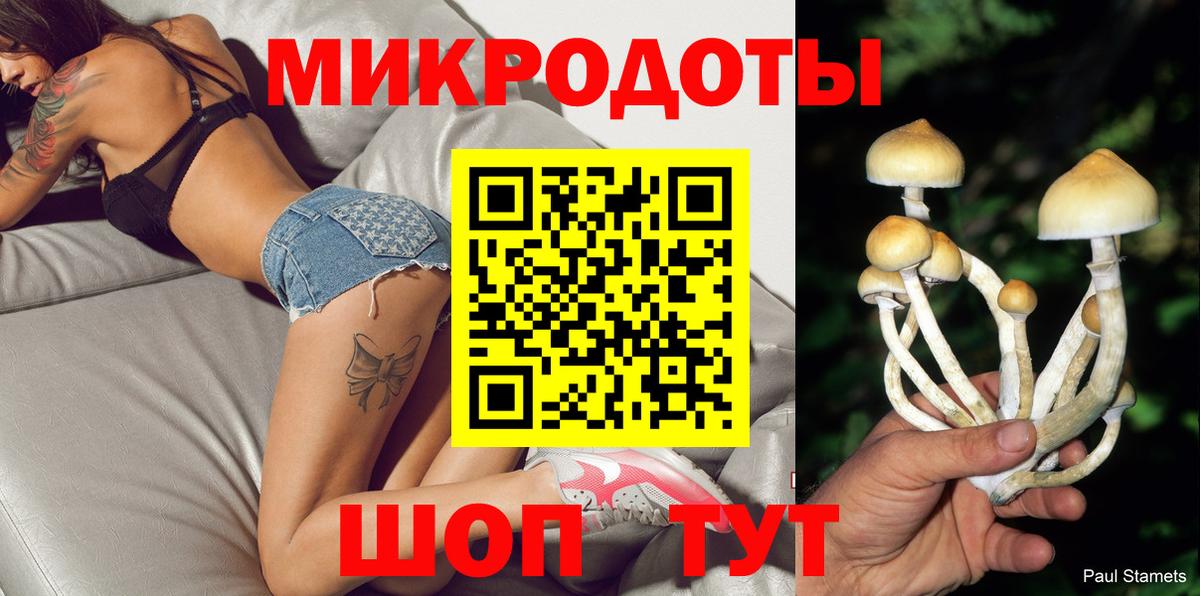 Галлюциногенные грибы GOLDEN TEACHER  Вход с VPN  Псилоцибиновые грибы Psilocybe  Казань 